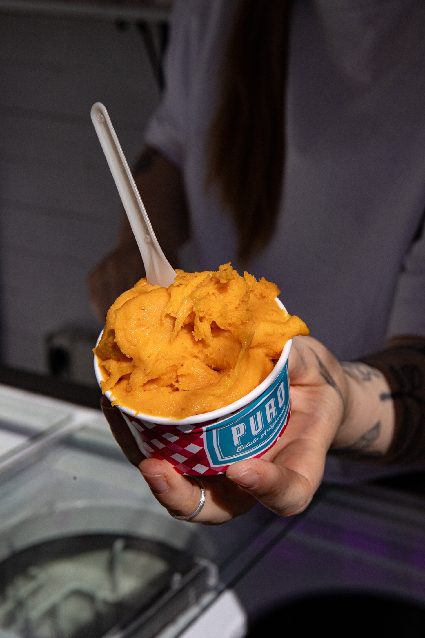 Gelato pro celou rodinu